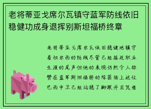老将蒂亚戈席尔瓦镇守蓝军防线依旧稳健功成身退挥别斯坦福桥终章 老将蒂亚戈席尔瓦镇守蓝军防线依旧稳健功成身退挥别斯坦福桥终章
